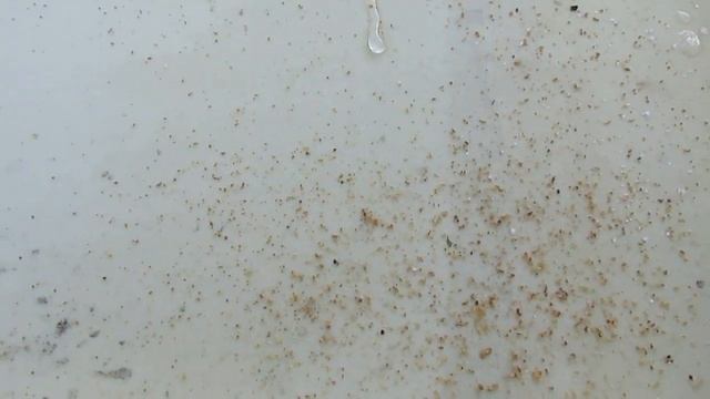 март на пасеке - зимовка пчел в 12 рамочном улье в 2 корпусах без зимних подкормок смотреть онлайн