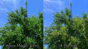 Honor Magic 5 Pro Vs iPhone 14 Pro max Camera Comparison | camera Test