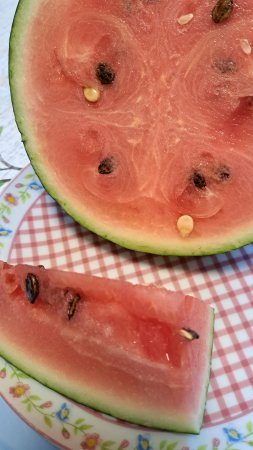 Какие у нас выросли арбузы 🍉