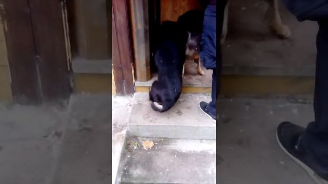 , марта и огонёк-на новом месте жительства смотреть онлайн