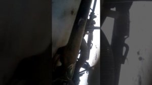 Где находится номер рамы и двигателя на Ямаха моджести 250