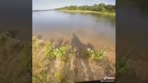 Охота на рыбу из лука
