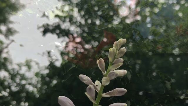 "На пыльных дорогах земли."// Стих, несущий утешение. Христианские стихи. Поэзия.