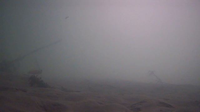 Реакция рыбы на мормышку. Подводные съемки. смотреть онлайн