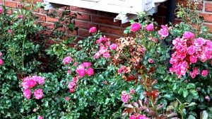 Заменил газовый котёл на сплит системы, отопление своими руками. Эффективность Gree кондиционера.