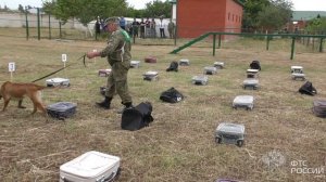 Соревнования по многоборью среди специалистов-кинологов СКТУ
