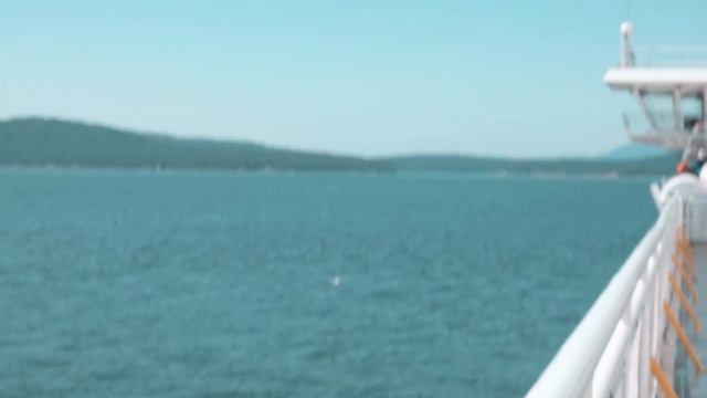 the only reason I started this YouTube channel... (Nikon Z50 Cinematic video) смотреть онлайн