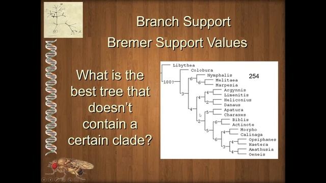 BIOL 6330 Unit 2 2 1 Support Measures смотреть онлайн