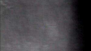 Pulsar Digisight Ultra N355 (Ультра 355), видео охота, благородный олень