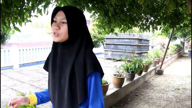 5 Ibnu Sina (2015) SMK Ismail Petra смотреть онлайн