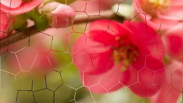 Догоню....mp4.mp4Песня и ролик о любви,чувствах и счастье.... смотреть онлайн