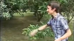 Мама меня отправила кормить курей