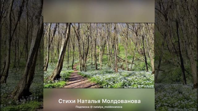 «А знаешь, тебе идёт весна» Наталья Молдованова