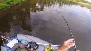 лучший карп