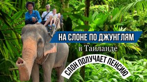 Катание на слоне в Таиланде | Слон | Таиланд | Пхукет