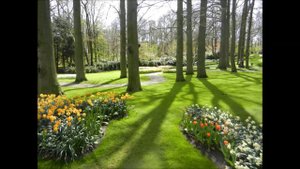 W.A. Mozart - Sonata no.11, (K.331)  mov.  2 Menuetto