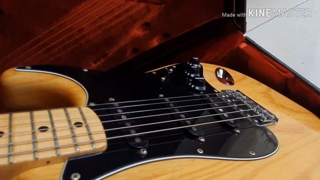 Fender Stratocaster USA 1979 Natural смотреть онлайн