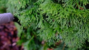 Как сделать илосос пруда своими руками