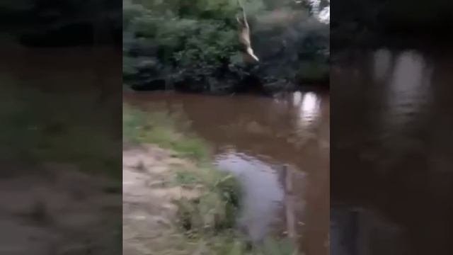 озера