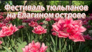 Фестиваль тюльпанов в Санкт-Петербурге на Елагином острове. Поздние сорта, цветники во всей красе.