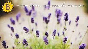 Эфирное масло лаванды