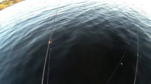 Рыбалка летом на мормышку Мормышинг Клюет вся рыба
