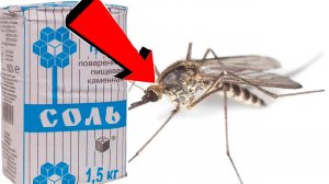 Как избавиться от комаров на даче За 3 Секунды .!!!..