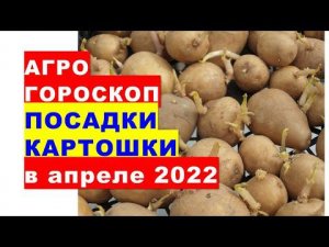 Агрогороскоп посадки картошки в апреле 2022 года