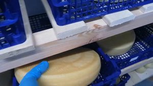 Обзор сырного хранилища