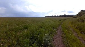 ПЧЕЛОВОДСТВО ВЫЕЗД НА ЭСПАРЦЕТ Секреты начинающим