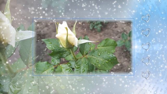 Красивое поздравление с днем рождения. Открытки с днем рождения смотреть онлайн