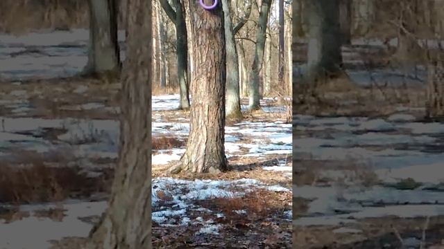 Ягд терьер, высота 2 метра смотреть онлайн