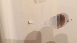 Реставрация Сколов На Межкомнатной Эмалированной Двери