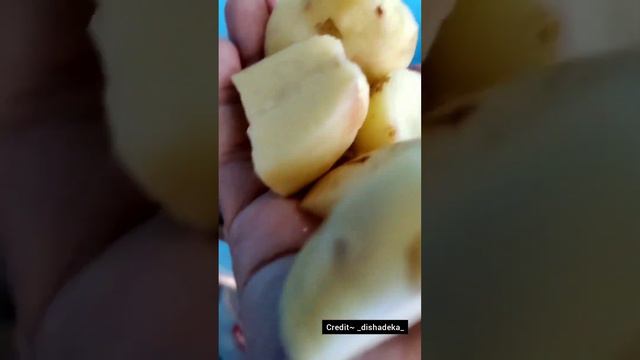 Chicken Biryani 😚 (atrangi recipe 😁😍)| YouTube Short| DISHADEKA смотреть онлайн