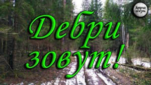 Дебри зовут. Продолжаем поиск средневековых поселений.