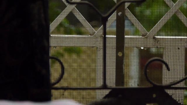 FZ40- Test Footage Manual Focus, Manual Exposure Movie (720p) смотреть онлайн