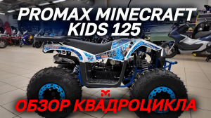 Полный ОБЗОР квадроцикла PROMAX MINECRAFT KIDS 125 от MAXMOTO🔥