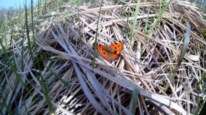 Первая ночная рыбалка по ловле судака на живца с берега!