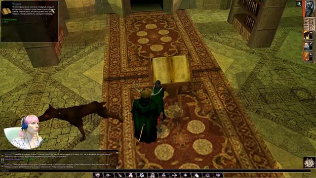 Зима-холода | Хаотично-злонамеренный NWN:HotU (часть 12) смотреть онлайн