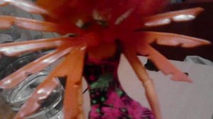 нам с сестрёнкой каюк наша мама на юг в моём исполнении