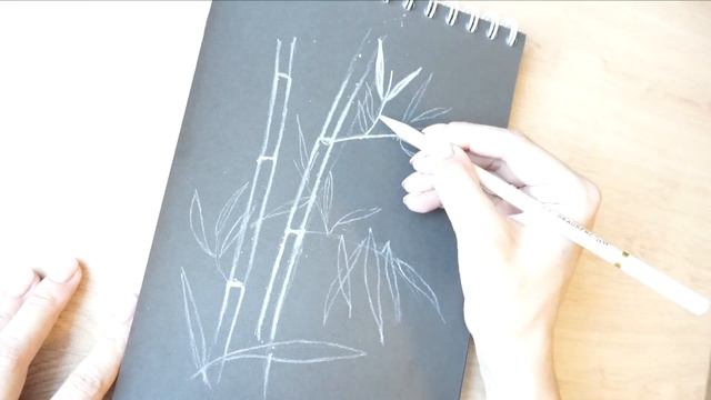 Простой рисунок мелом. Бамбук мелом на черной бумаге. смотреть онлайн