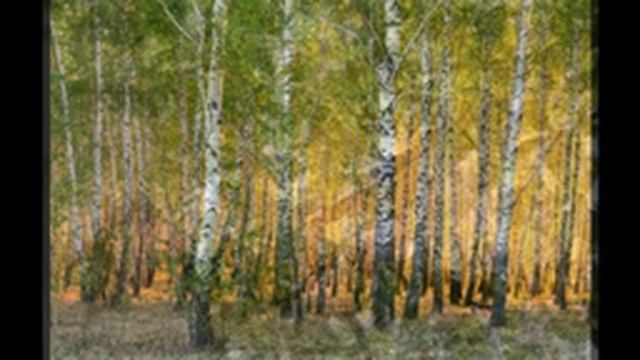 !Воскресная школа храма святителя Николая в Сабурово День Победы2020! смотреть онлайн