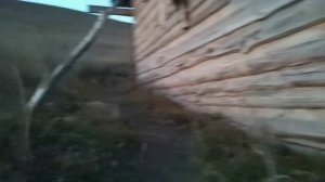 Закончил посадку озимого лука на зелень