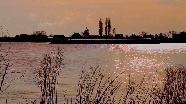 Почему молчание женщины опаснее, чем ее слова.