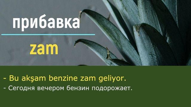 Нужные слова и фразы на турецком языке. Послушайте, запомните. проверьте себя! Турецкий язык.