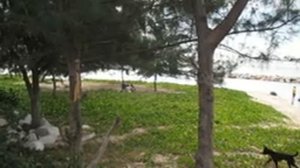 Районг  Пляж Лаем Чароен  Пляж Пала бич