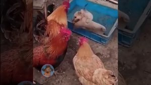 делаем ставки