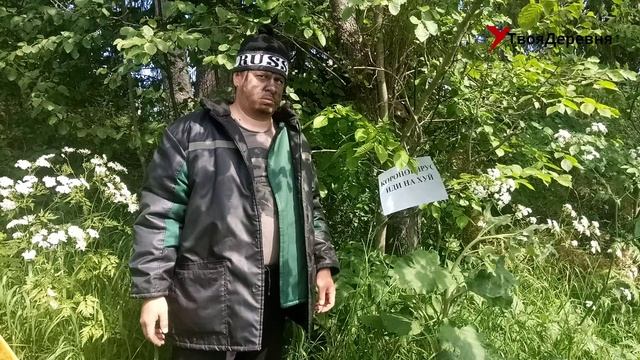 Удмуртские отшельники