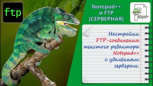 Настройки FTP-соединения текстового редактора Notepad++ с удалённым сервером.