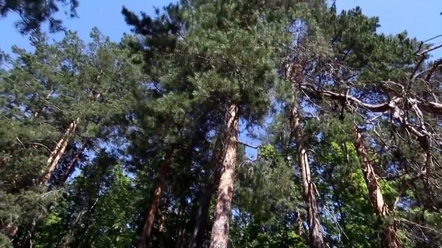 Чертов палец, Поляна Колдунов, водопад Девичьи слезы. Самарская область